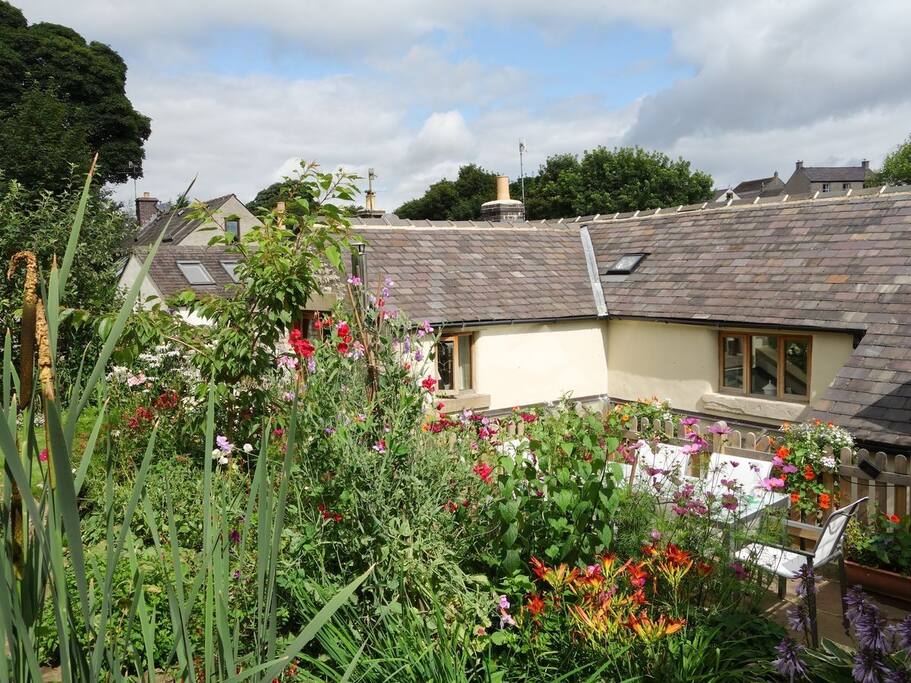 Rear of cottage from garden