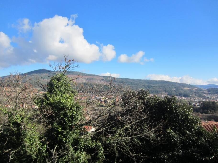 Vistas desde los dormitorios