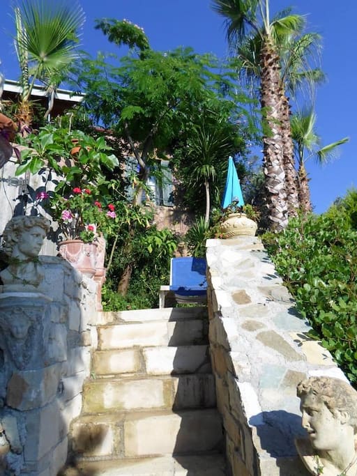 Steps to pool terrace