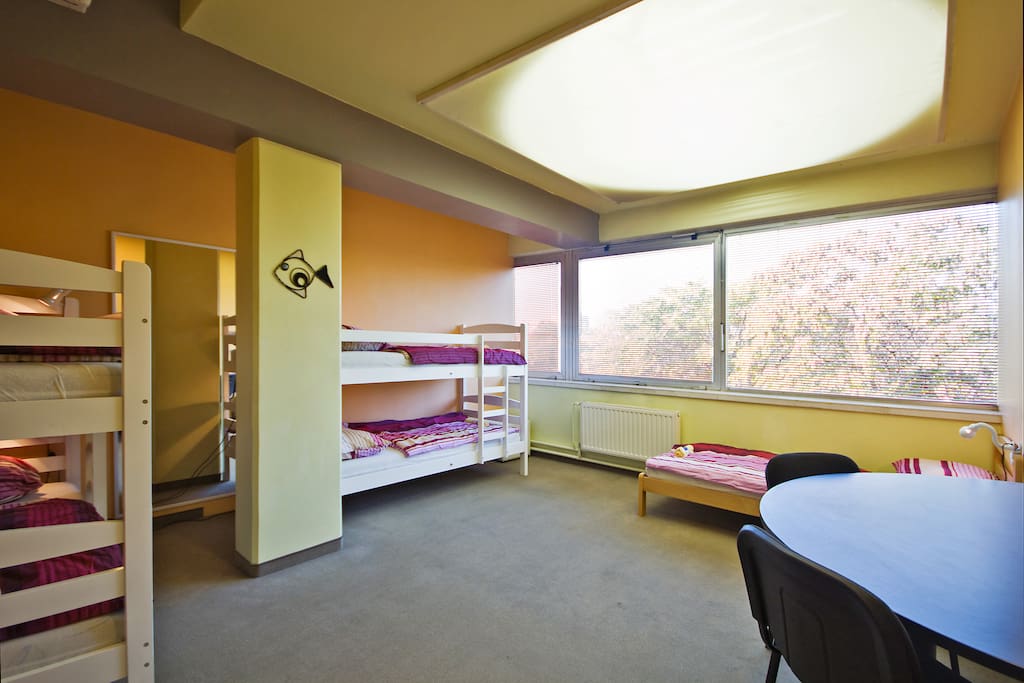 5 bed dorm