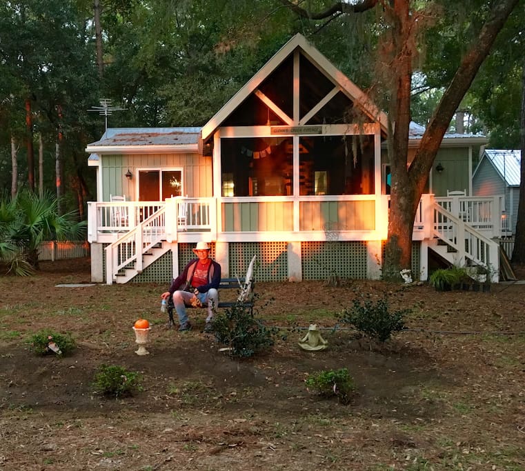 Front yard. New plants