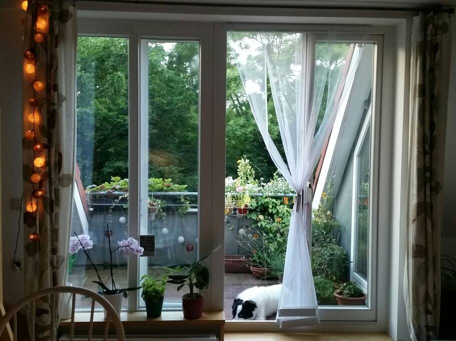 Blick aus Küche auf Terrasse