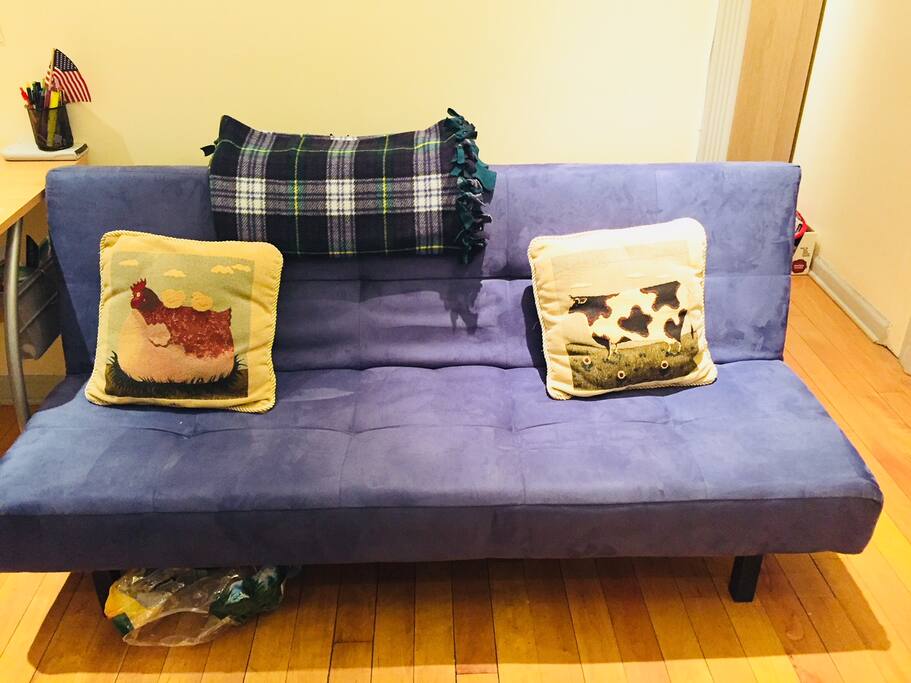 Couch pulls out into additional bed