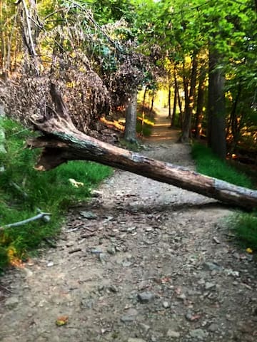 Overlook Drive, Harper's Ferry WV 3