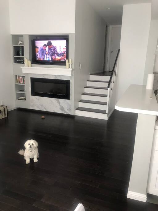 Access to tv and free WiFi