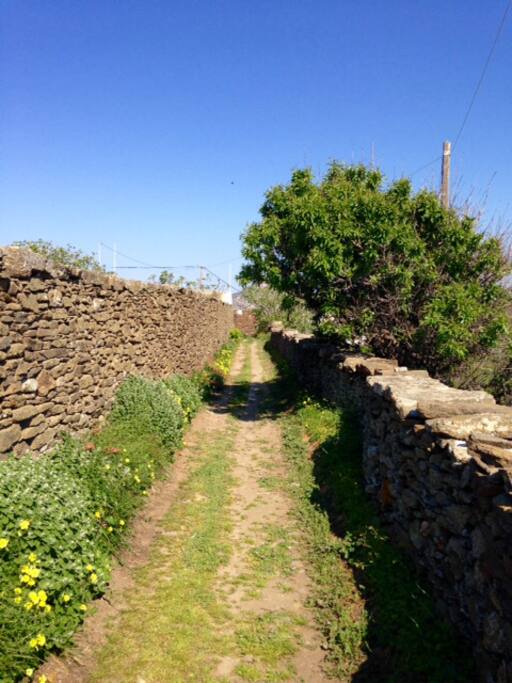 L arrivée à la maison par un petit sentier sur les hauteurs de Anopetali