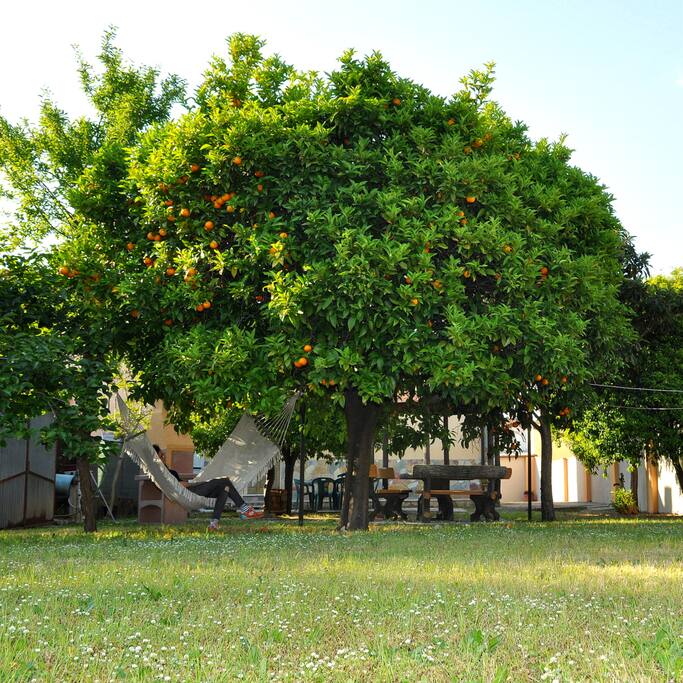 Il giardino