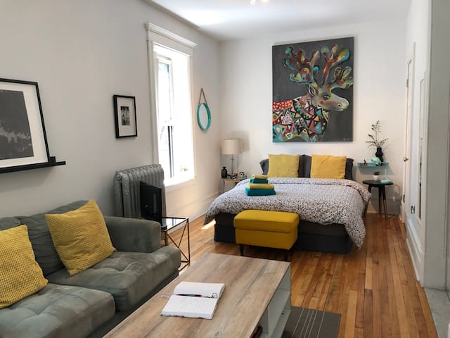 Cozy and spacious apartment downtown