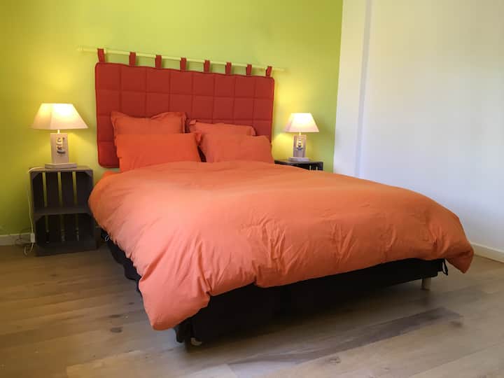 带1张双人床的客房