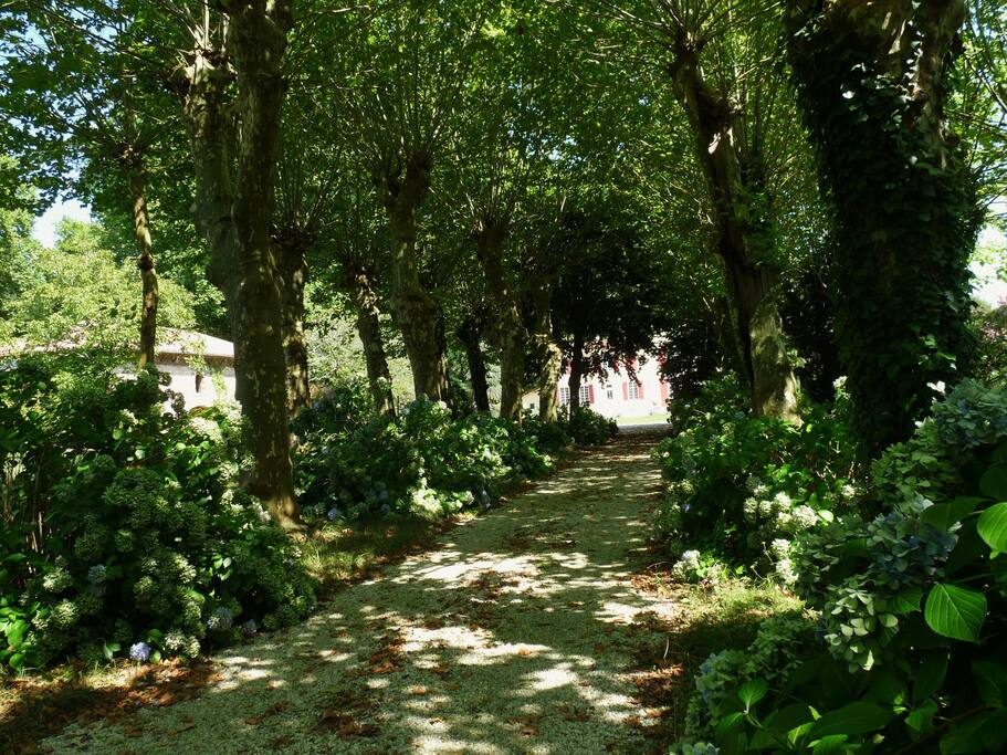 L'allée d'arrivée