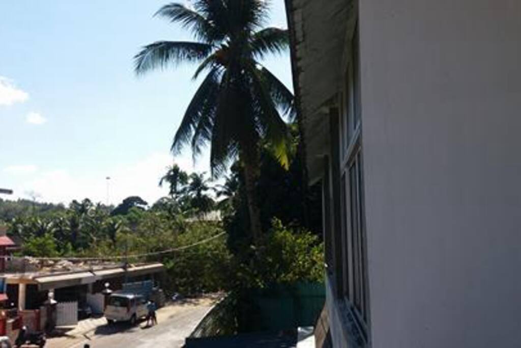 Outdoor View