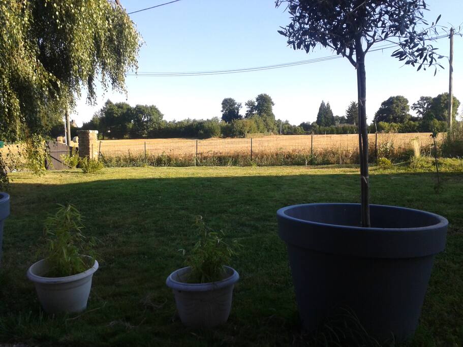 vue de la terrasse