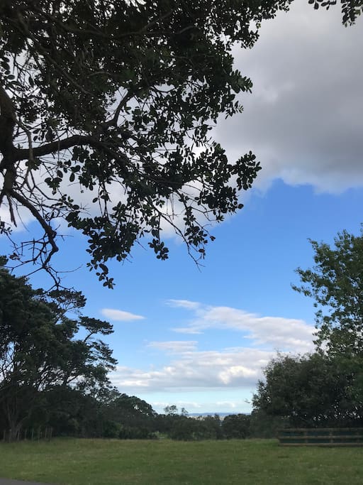 Auckland Domain, it takes 10m you can get there by walking