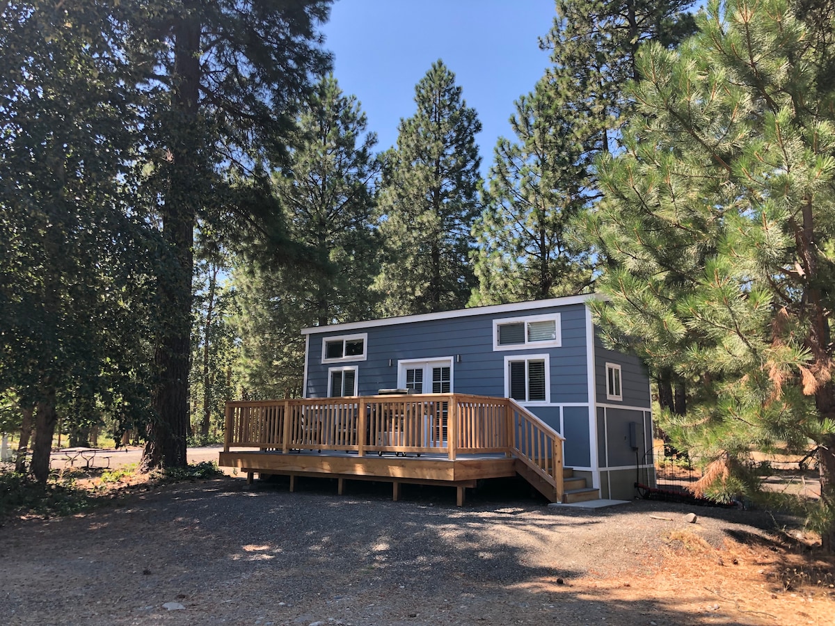 A charming tiny home is nestled among tall trees, featuring a deck with wooden railing. Large windows provide natural light, while the exterior showcases a combination of blue siding and white trim. Gravel surrounds the home, enhancing its peaceful outdoor setting.