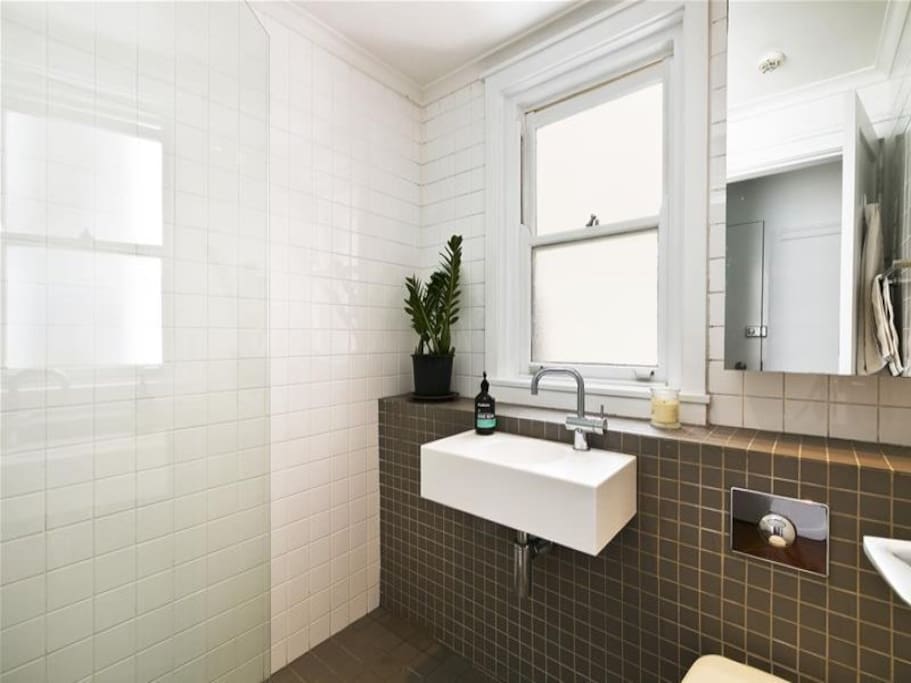 Renovated bathroom with high-powered shower.