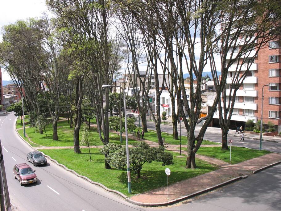 Vista desde la habitación