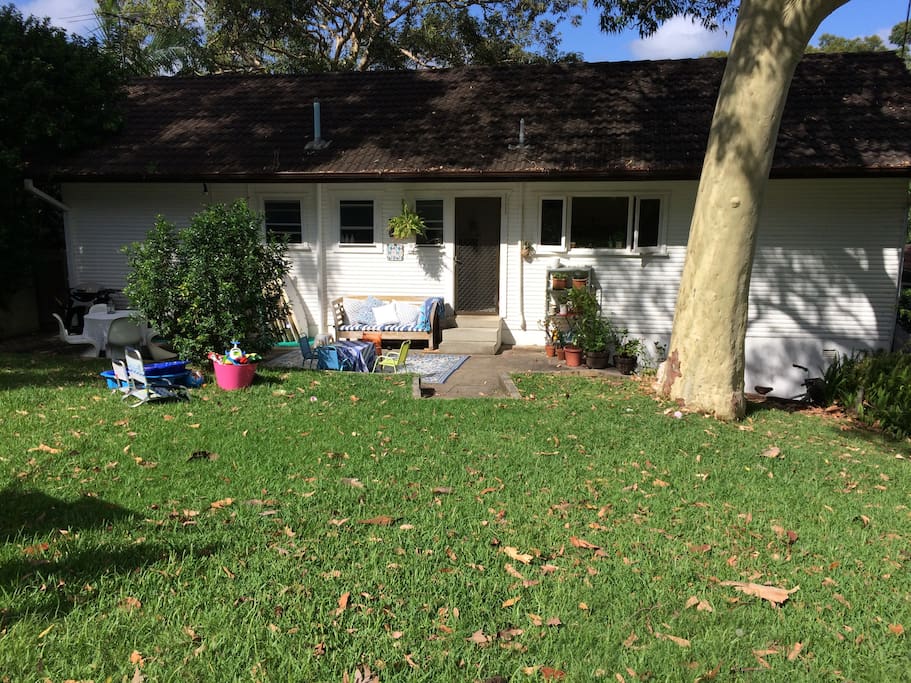 Backyard
