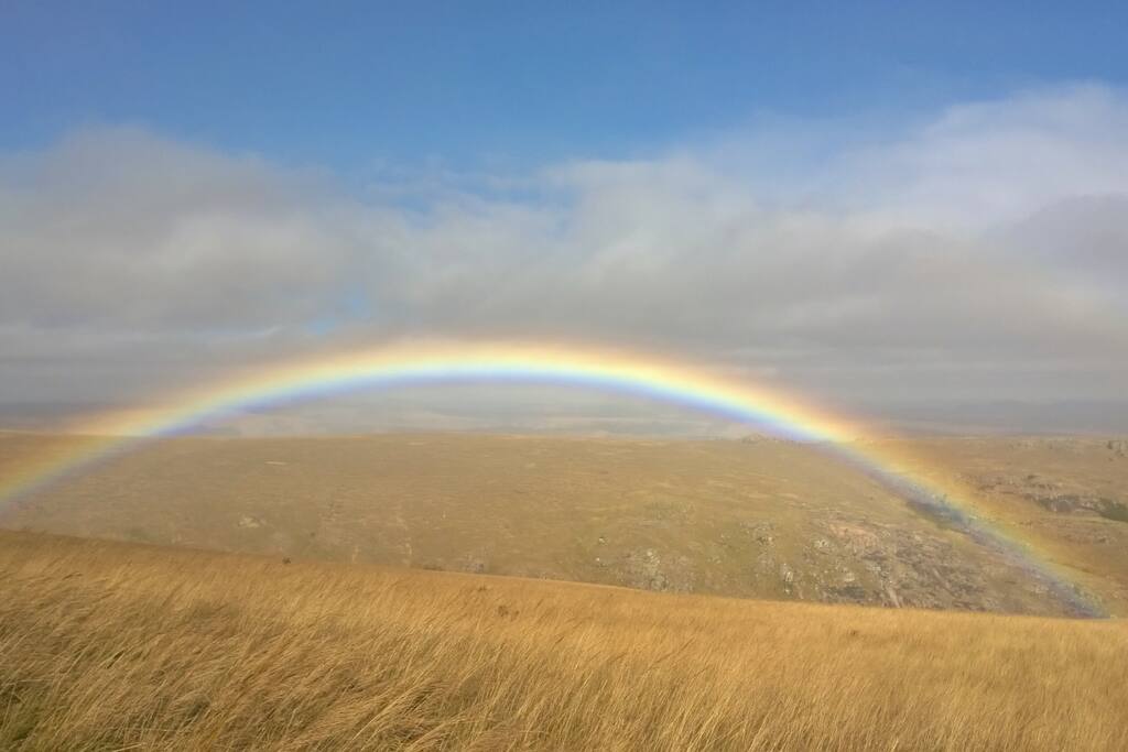 Rainbow Country