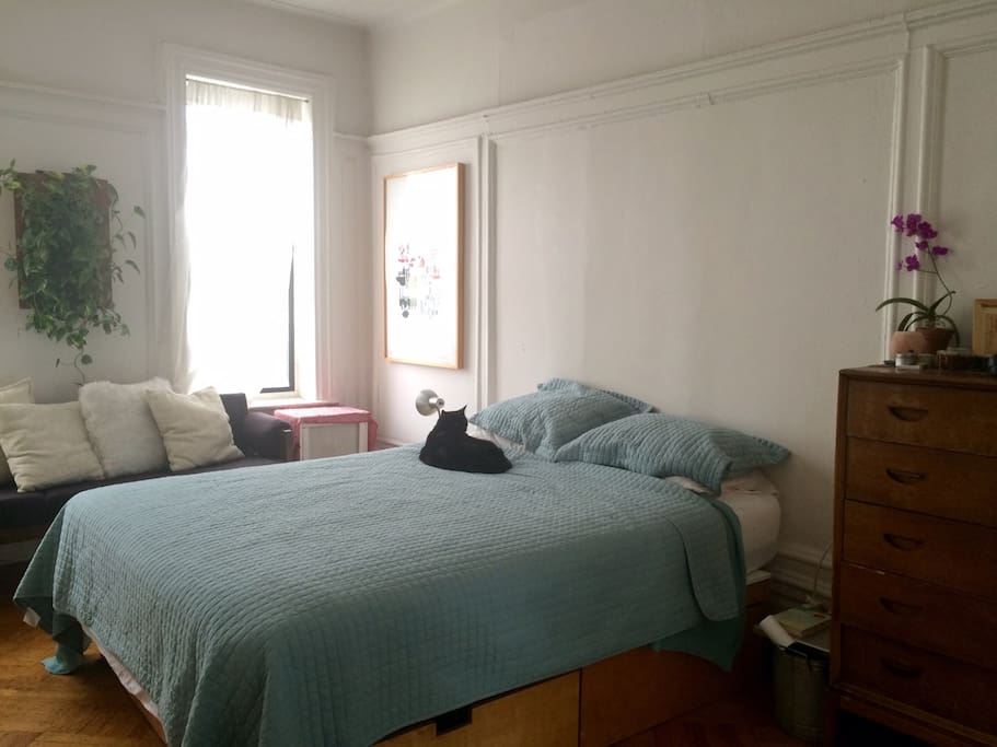 Light-filled Bedroom - features 2 windows and a couch
