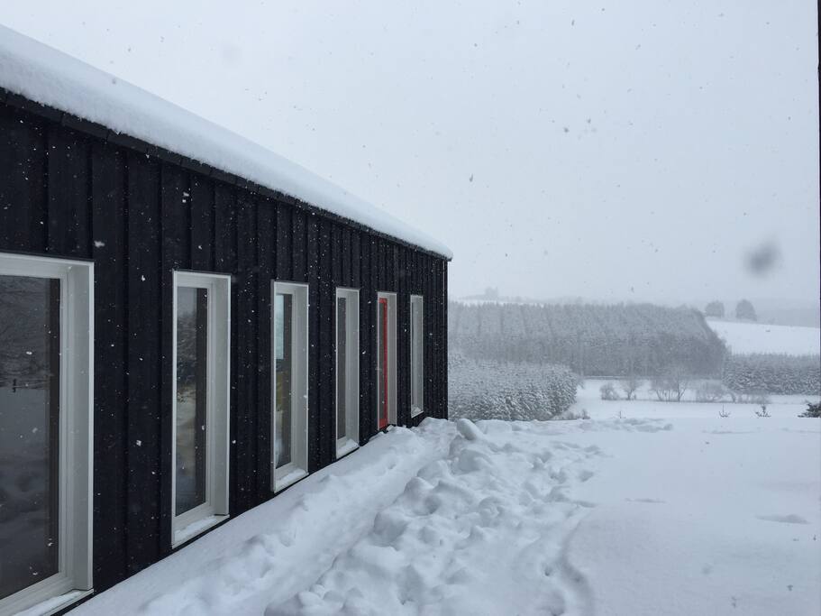 Winter