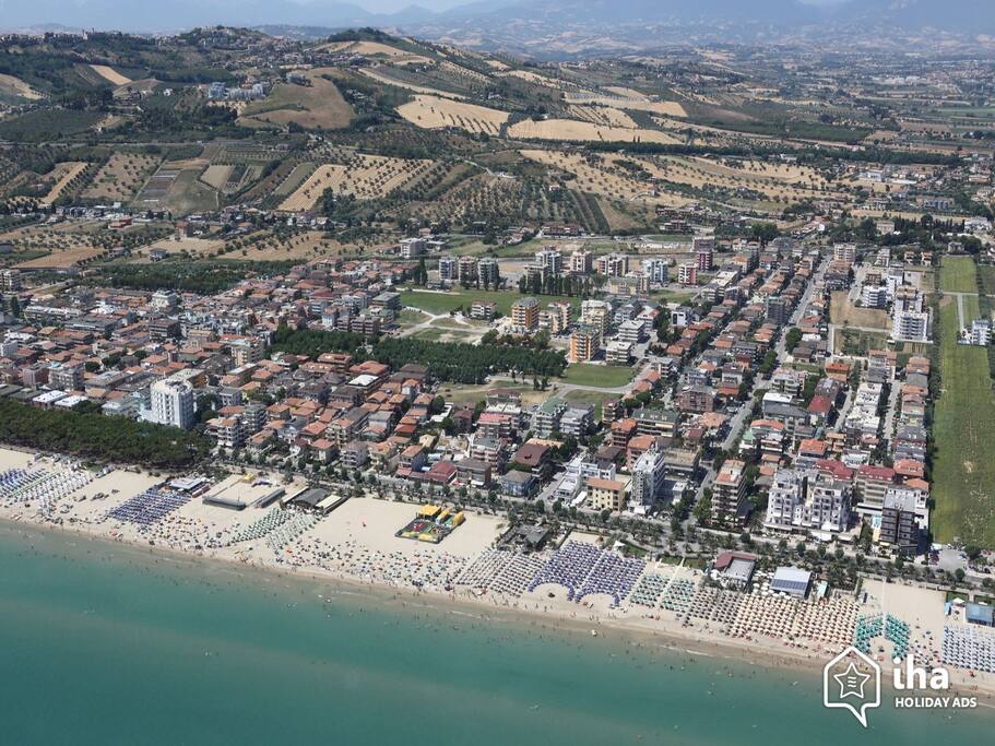 Mare