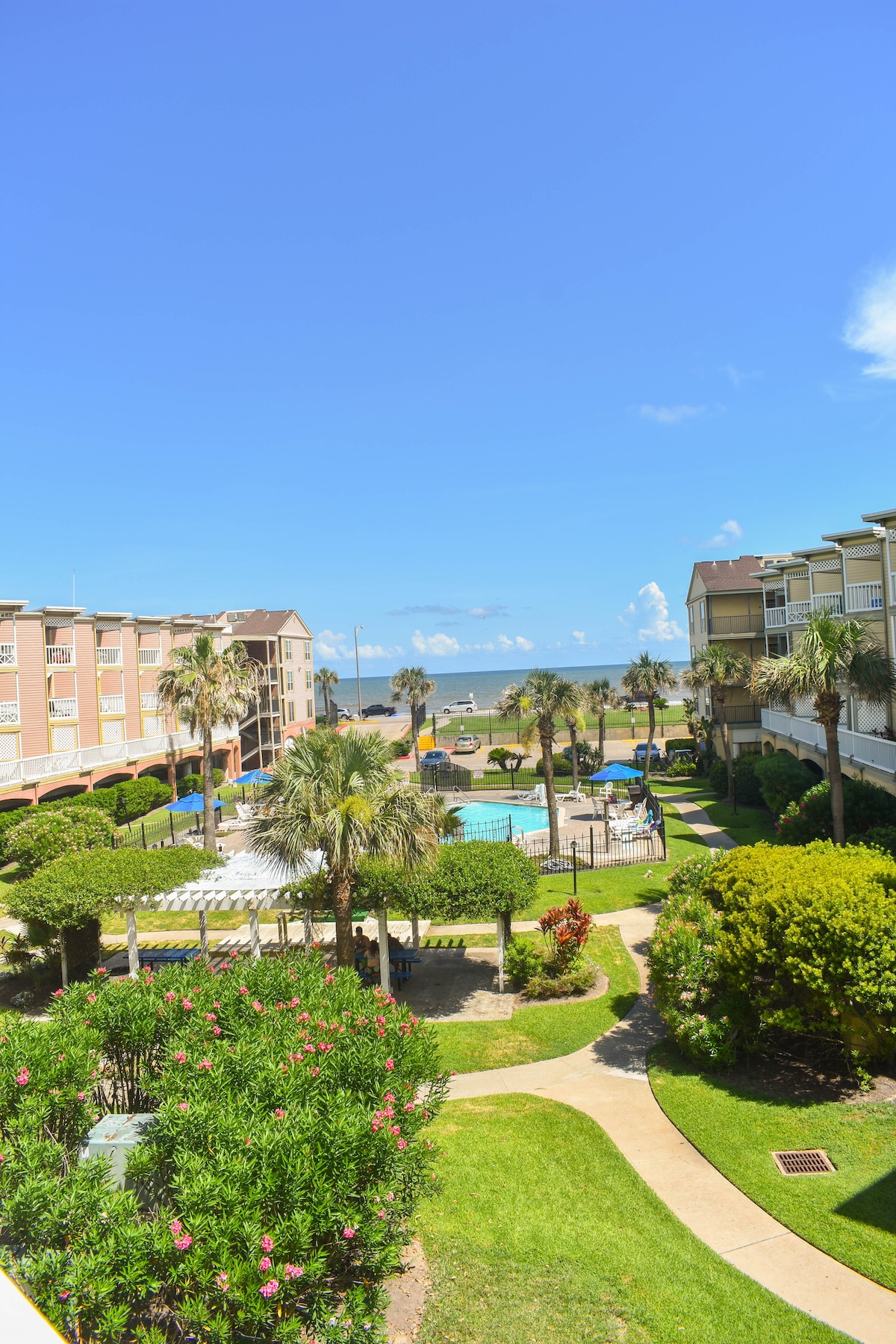 A vibrant courtyard scene features well-maintained greenery and palm trees, leading to a clear view of the beach. Two swimming pools are visible, surrounded by lounge chairs and a spacious area for relaxation. The sky above is bright blue, with a few clouds dotting the horizon.
