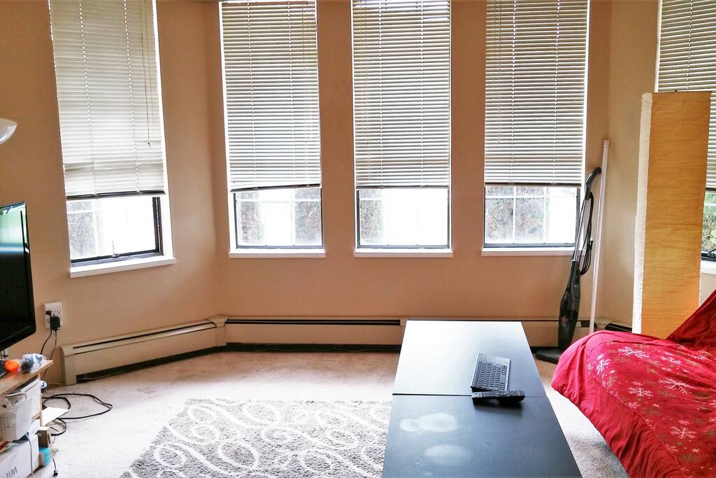 Spacious Livingroom