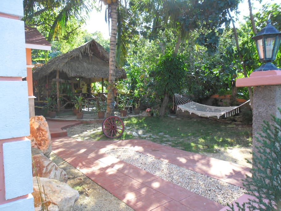 garden with hammocs
