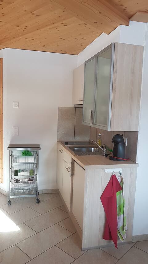 Successful Airbnb property: Bright studio near Jakobshornbahn and cross-country ski trail in Davos