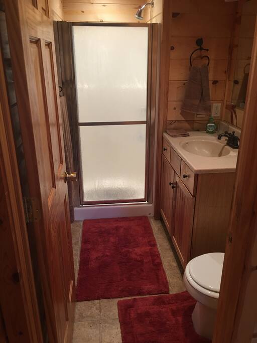 Downstairs Bath (with Shower)