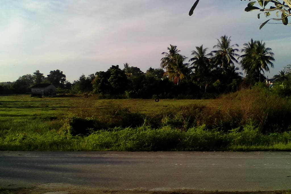 We have a pasture that you can enjoy your recreational activities such as running and playing soccer.