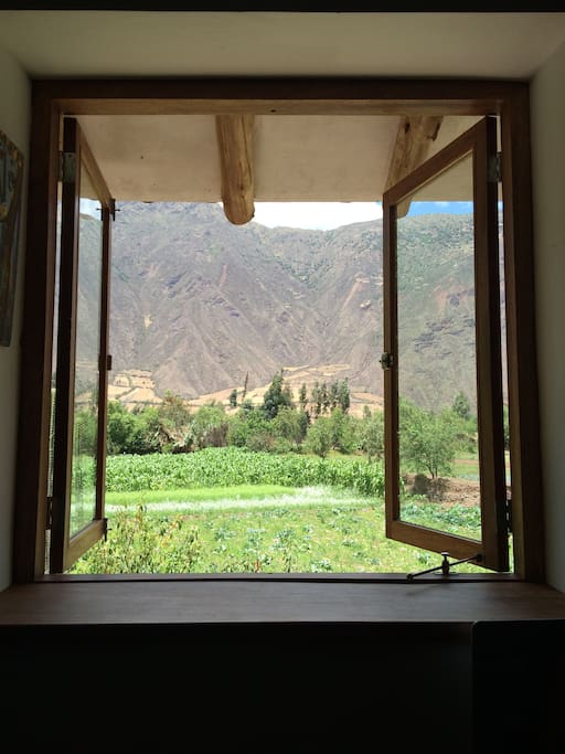 Vista por la ventana de la habitación