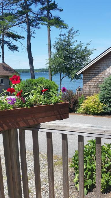 View from deck