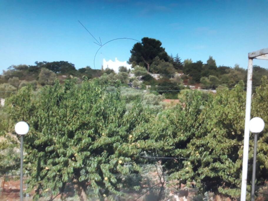 casa in cima alla collina