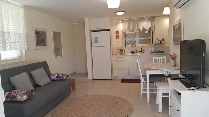 Overall view of the apartment, total living room with sofa bed, TV, fully equipped and new kitchenette, and dining area.