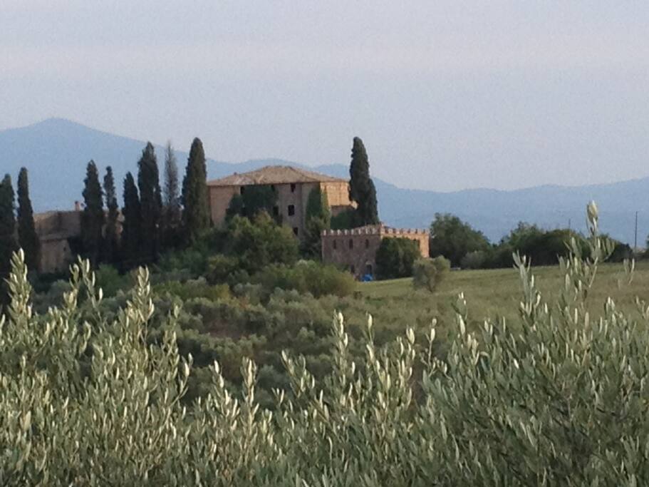 the house from far distance