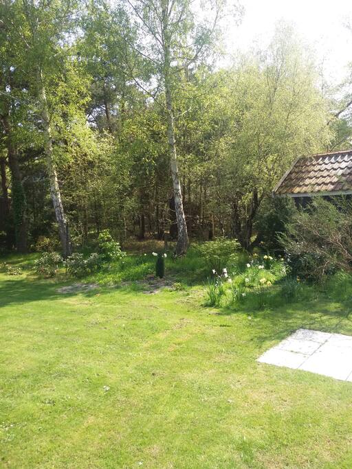 1100 kvm garden for many kinds of activities.