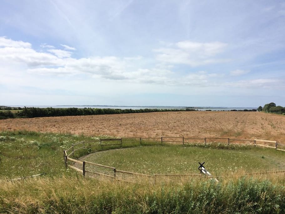 The view from the summerhouse.