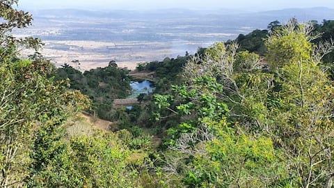 Top performing Airbnb: Alameda dos Joãos HOUSE in Bezerros