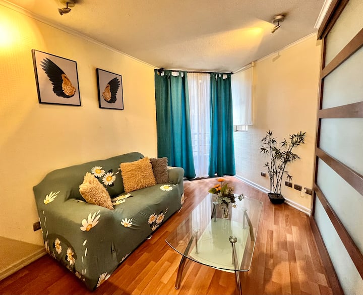 Apartamento Bellas Artes, Lastarrias, Santa Lucía - Santiago, Chile