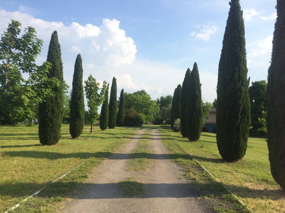 Viale d’ingresso