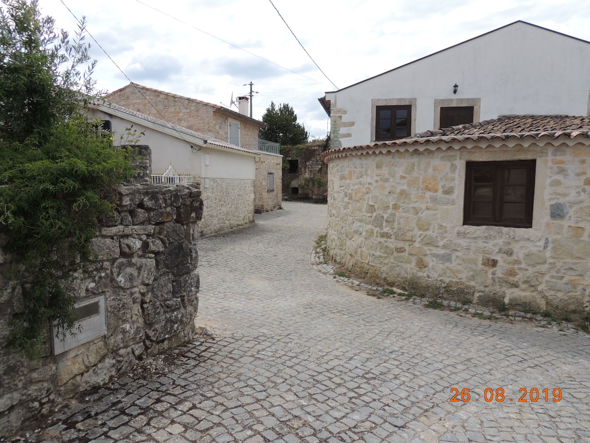 A cobblestone path winds through a quaint village, flanked by traditional stone houses with varied architectural details. The scene is set under a cloudy sky, highlighting the rustic charm of the surroundings. Green shrubbery adds a touch of nature to the tranquil atmosphere.