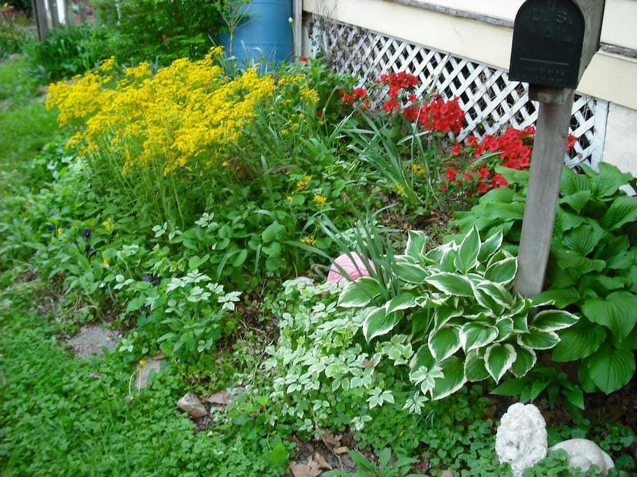 Front summer garden