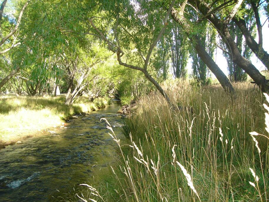 Stream