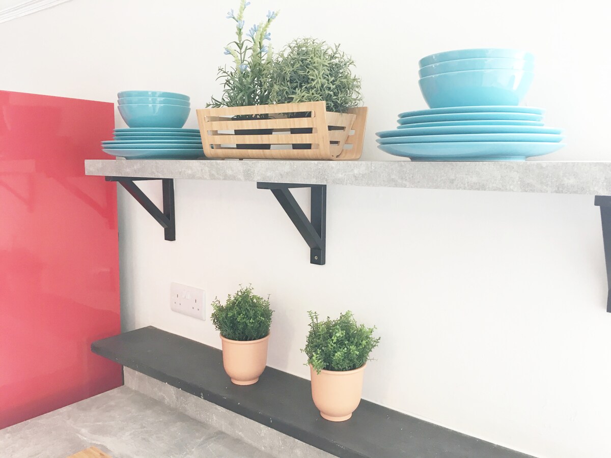 Open kitchen shelving displays a collection of turquoise plates and a wooden basket holding artificial greenery. Below, two small potted plants add a touch of green to the countertop. A bold red splashback provides a vibrant backdrop.