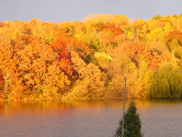 3 separate King bdrms Lakeside Close to Stillwater gallery image 3