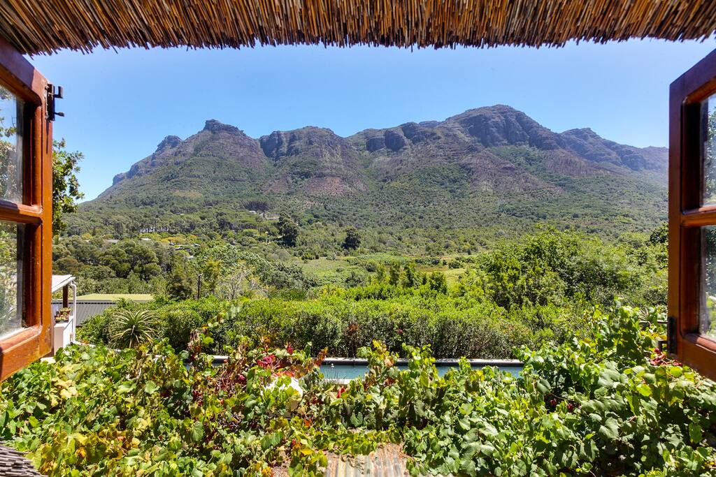 View from bedroom window