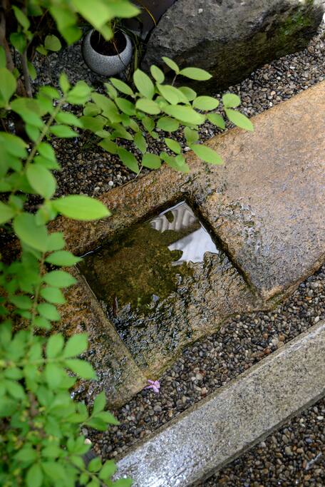 Cobbled in front of the entrance. It has been raining last night.(石阶上还残留着昨晚的雨水)