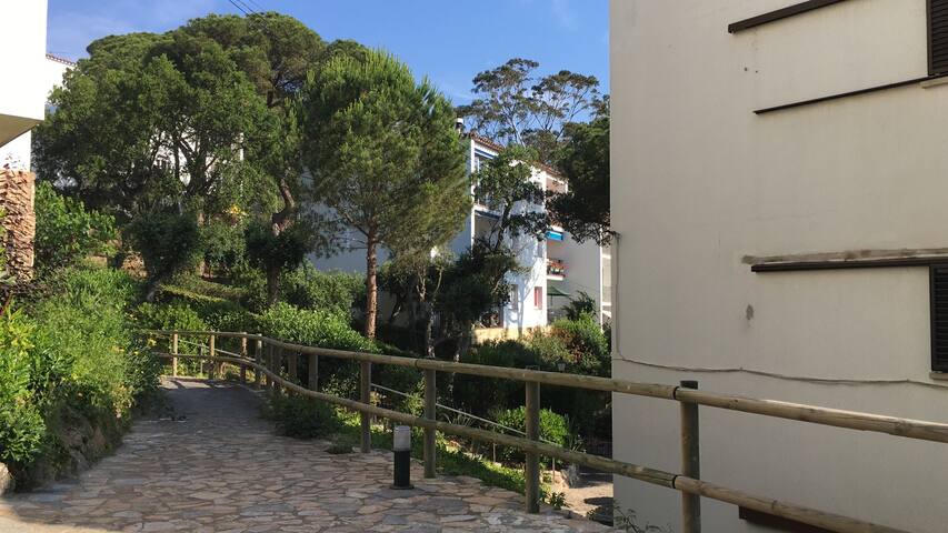 Beautiful 3 bedroom apartment CALELLA facing sea gallery image 5