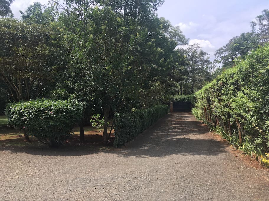 Private driveway